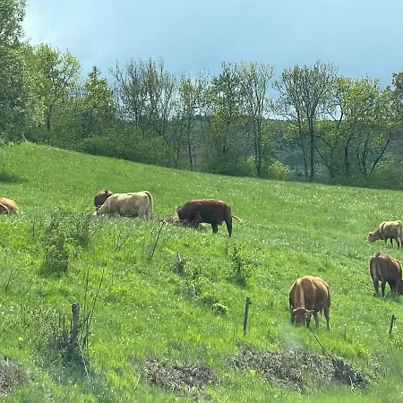 Lejlighed 6 Couchages, Confort, Pieds Des Pistes, Menage & Linge De Maison Inclus